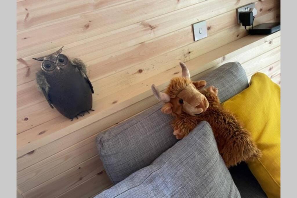 Coorie Doon Cabin! Great Scottish Welcome Fort Augustus Εξωτερικό φωτογραφία