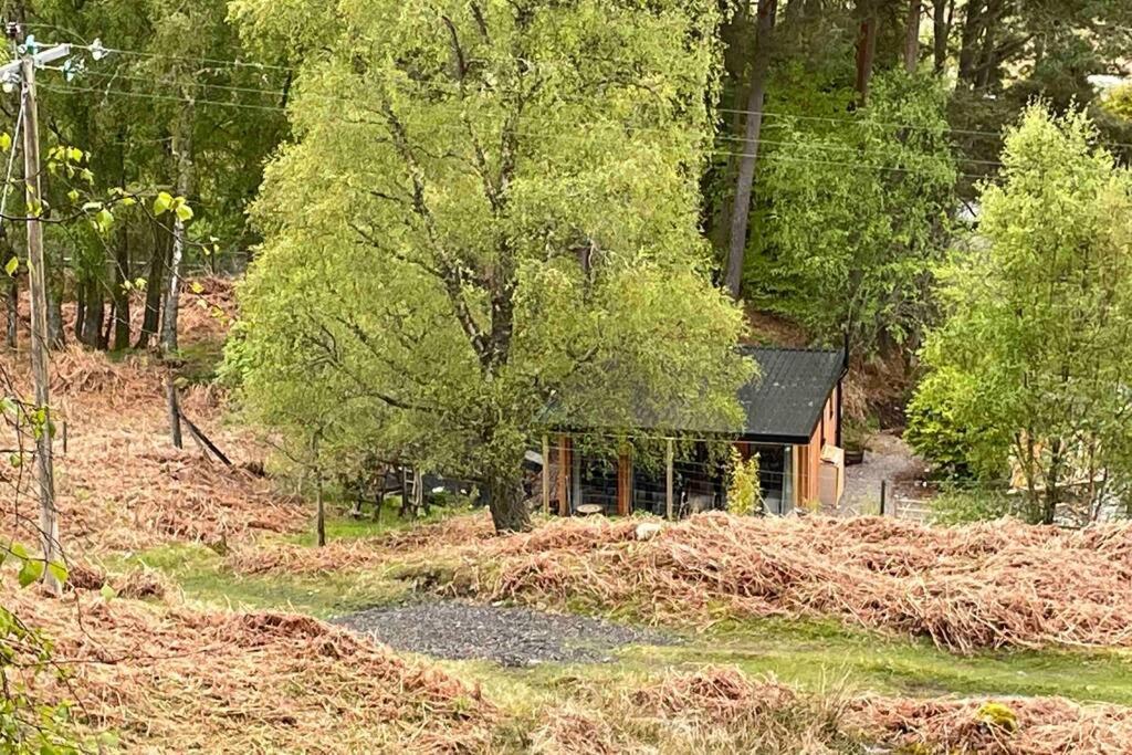 Coorie Doon Cabin! Great Scottish Welcome Fort Augustus Εξωτερικό φωτογραφία